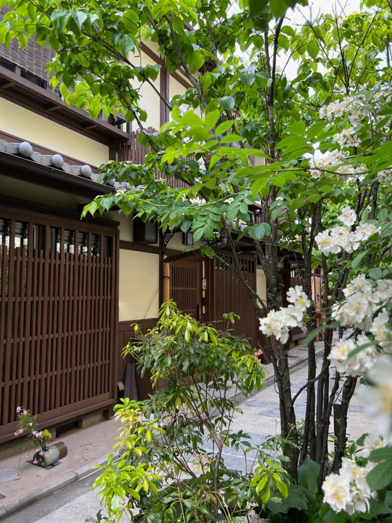 京都市 Imakumano Terrace - 潁川庵ヴィラ エクステリア 写真